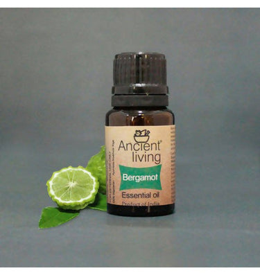 https://cdn.shopify.com/s/files/1/1857/6931/files/dlynj8YTL7-186953.jpg?v=1736147456